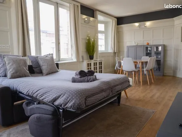 Grand Studio 45 m2 Meublé Cuisine séparée