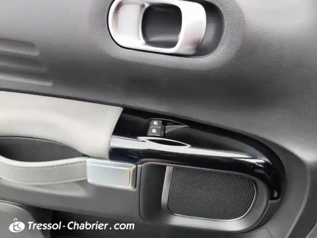 Citroën C4 cactus bluehdi 100 s&amp;s bvm6 shine — photo 20