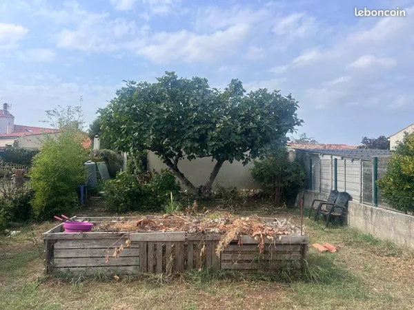 Terrain potager