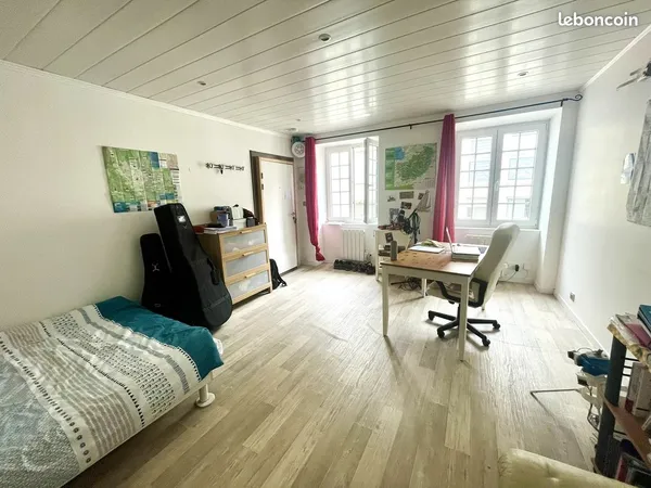 +++ studio lumineux 38 m² - huningue hypercentre +++