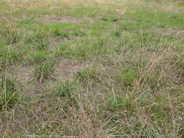 Terrain constructible non viabilisé 570 m²