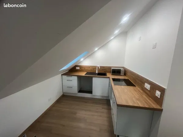 Apparemment meublé de 45m2 refait à neuf, cuisine équipée