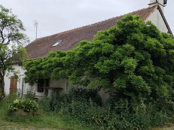 Propriété 6 pièces 109 m²