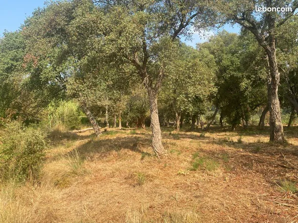 Vend terrain agricole 6000 mètres carrés bordure route des maures non constructible eau électricité 