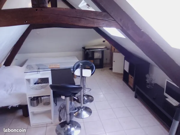 Grand studio lumineux et meublé