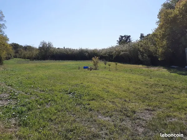 Terrain agricole