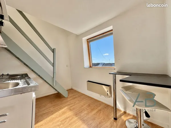 Studio 1 pièce 20 m²