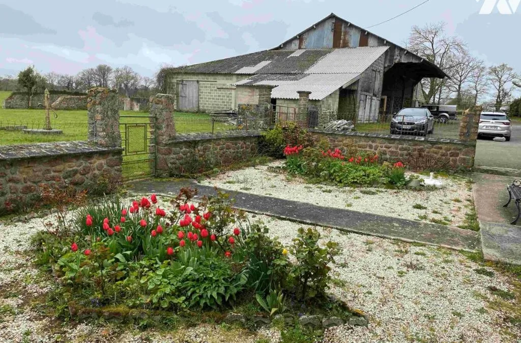 Photo 16