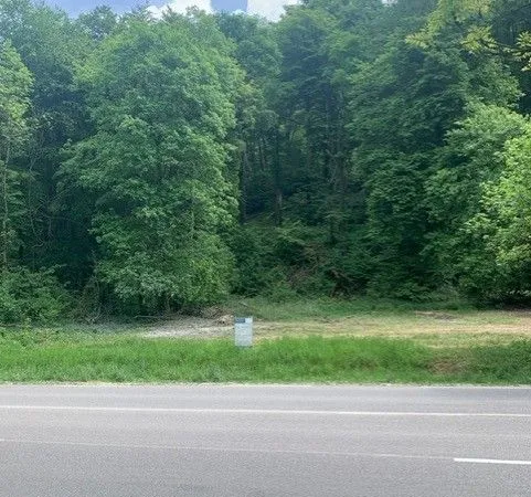 Forêt / Bois / Parcelle boisée / Parcelle de prairie