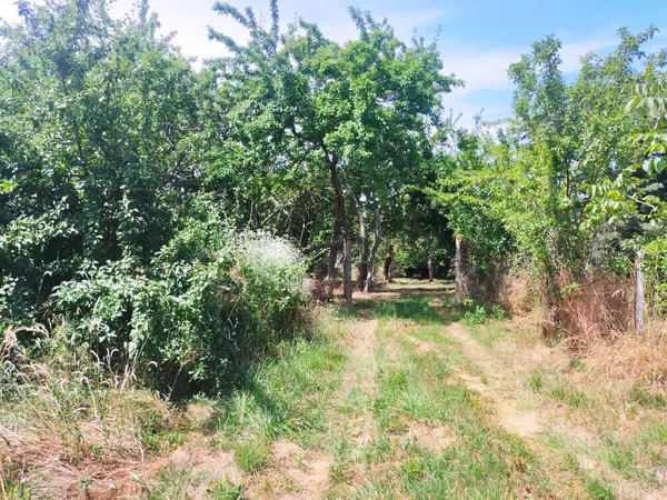 Terrain en individuel 1044 m²
