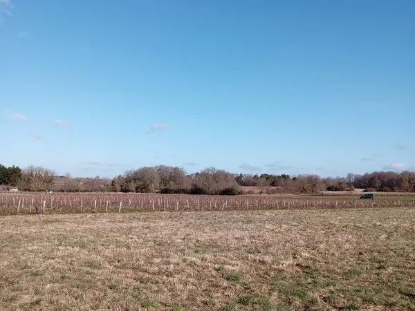 Terrain 1ha