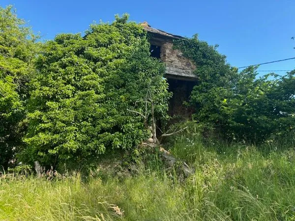 Grange à rénover sur 6 167 M2 de terrain