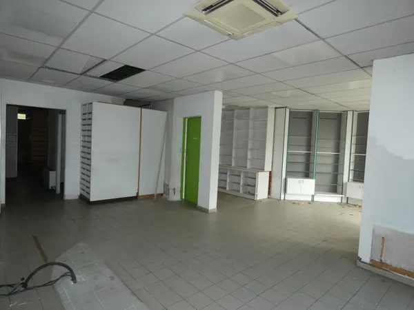 UN BIEN, PLUSIEURS PROJETS - 233 m² HABITABLES + LOCAL DE 93 m² - PARCELLE 960 m²
