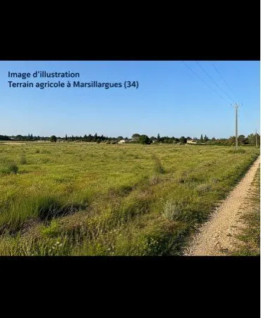 Terrain agricole 3000 m2