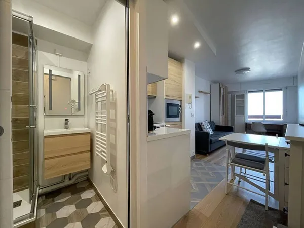 Appartement 1 pièce 20 m²