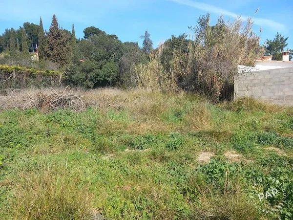 Terrain 742 m²