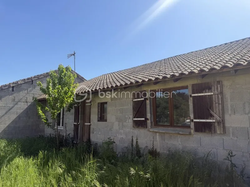 Photo 17