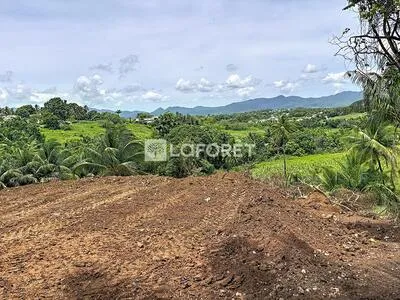 Terrain situé secteur Budan à Baie Mahault de 1000 m2