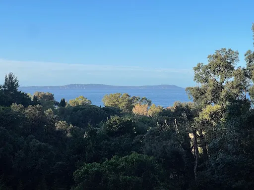 Terrain 2354 m²