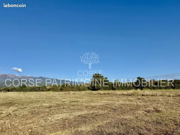 Terrain Prunelli-di-Fiumorbo