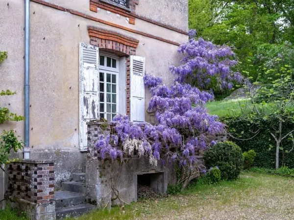 BOURRON-MARLOTTE - MAISON DE MAÎTRE FIN XIXe - 318 M² - PARC FORESTIER DE 4 101 M²
