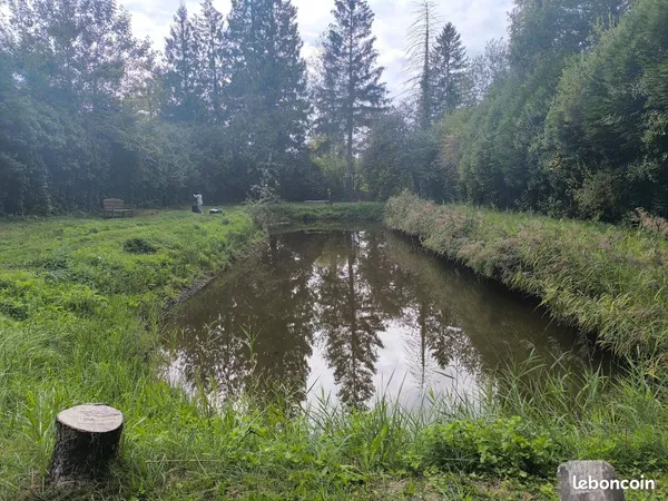 Plan d'eau Vente Vorges  2624m² 32000€