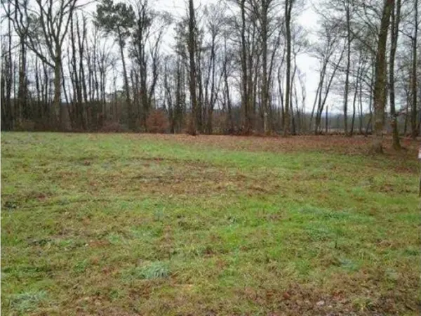 Terrain 2000 m²