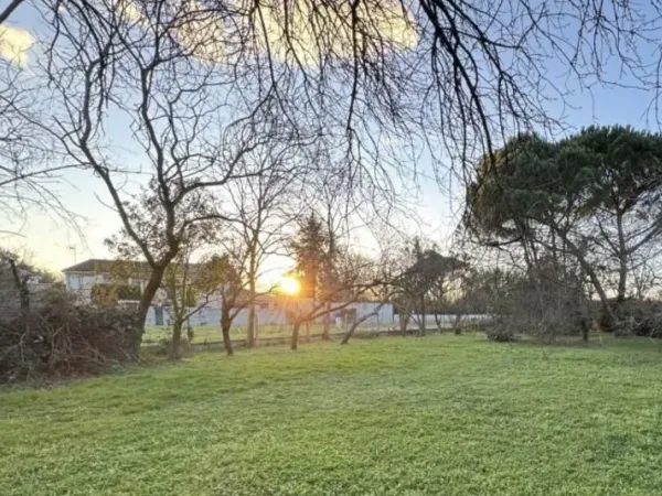 Terrain 764 m²