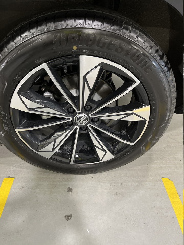 MG EHS — photo 33