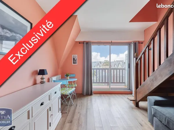 Duplex 2 pièces 24 m²