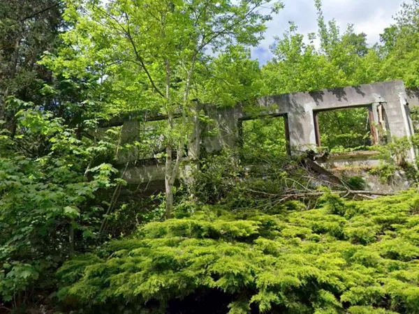 Ensemble maison et terrains