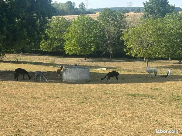Terrain constructible, eau, électricité, fibre du bon côté