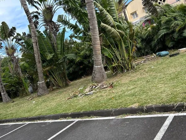 Studio 1 pièce 30 m²