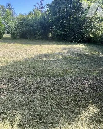 Terrain 1116 m²