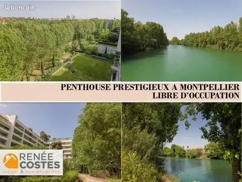 Appartement 6 pièces 305 m²