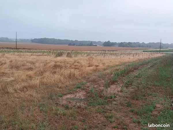 Terrain agricole