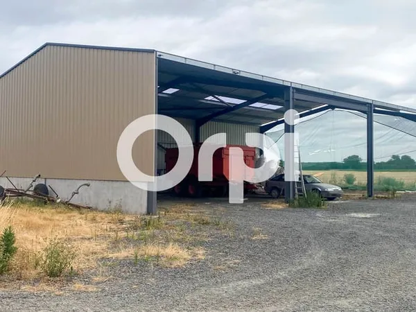 Local 338 m²