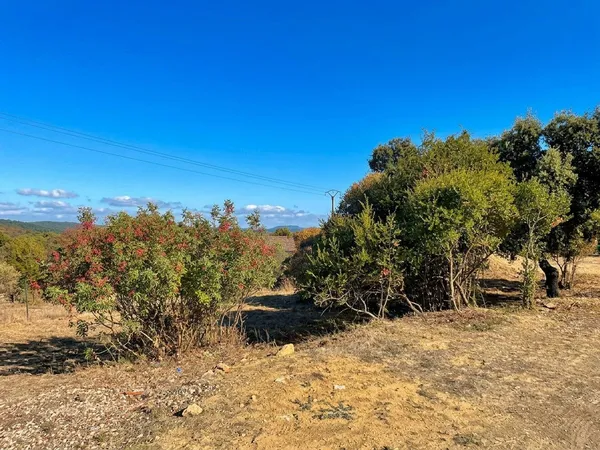 Terrain à batir 1004 m2 / Saint-Martin-de-Valgualgues