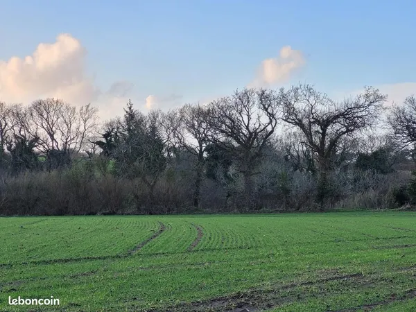 Terrain 505 m² Bourg Blanc