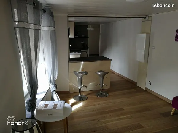 Beau studio ou F1 open space