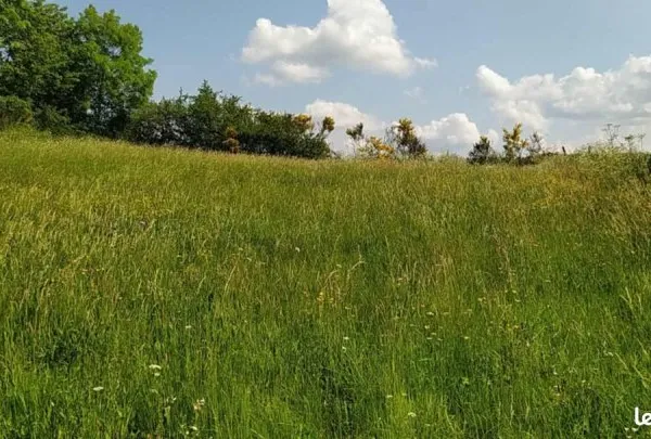 Vente terrain constructible