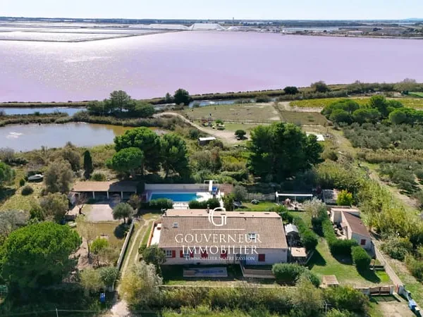 Magnifique mas sur Aigues-Mortes près des remparts avec pisc