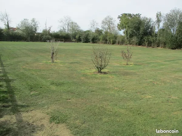 Terrain constructible