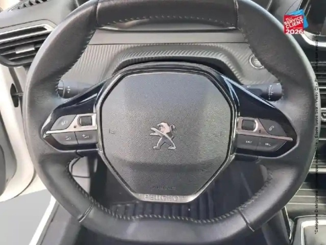 Peugeot 208 1.5 bluehdi 100ch s&amp;s active — photo 12