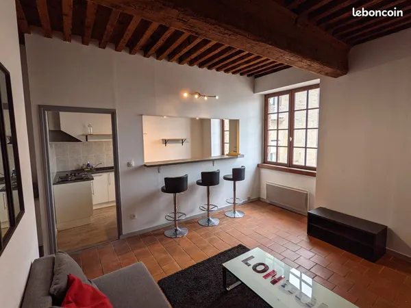 Appartement dans immeuble de charme Saint Etienne centre