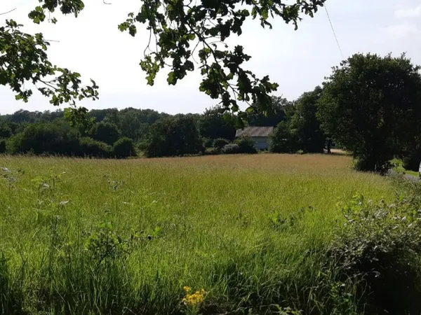 Terrain à vendre