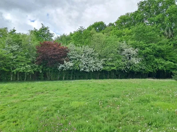 Terrain + maison Vente Bouliac 1020m² 258000€