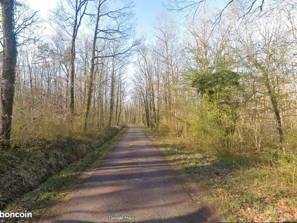 Terrain boisé-taillis sous futaie / 4 150 m² - Lignorelles (près Chablis/Auxerre)