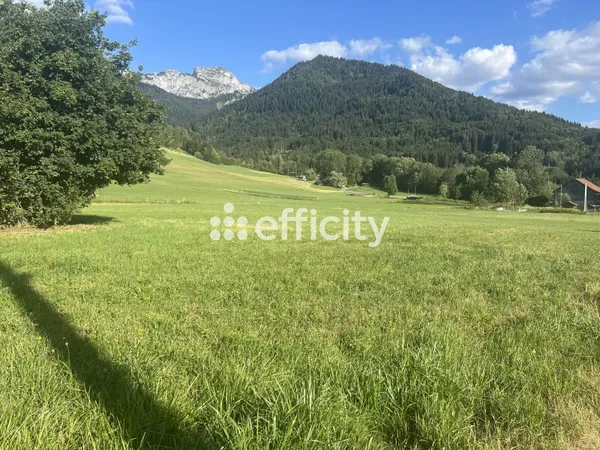 Terrain 1245 m²