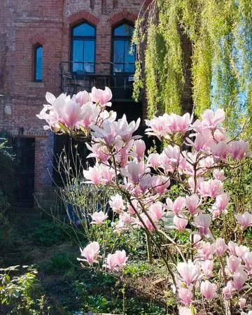 Maison de Maître ATypique a vendre